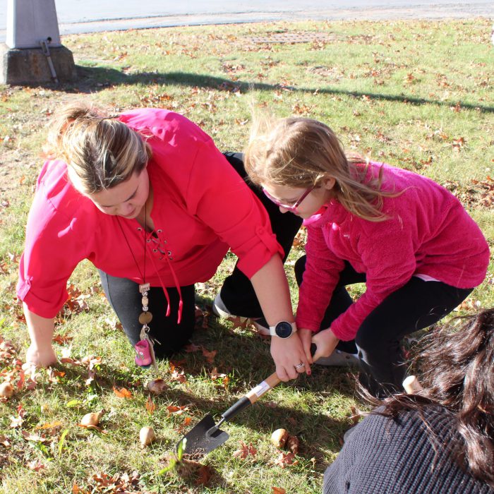 Two people dig in the ground to plant a daffodil bulb