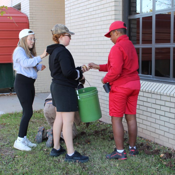 a student hands another student a bulb from a bucket as they plant daffodils