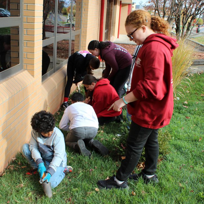 Students work together to plant bulbs