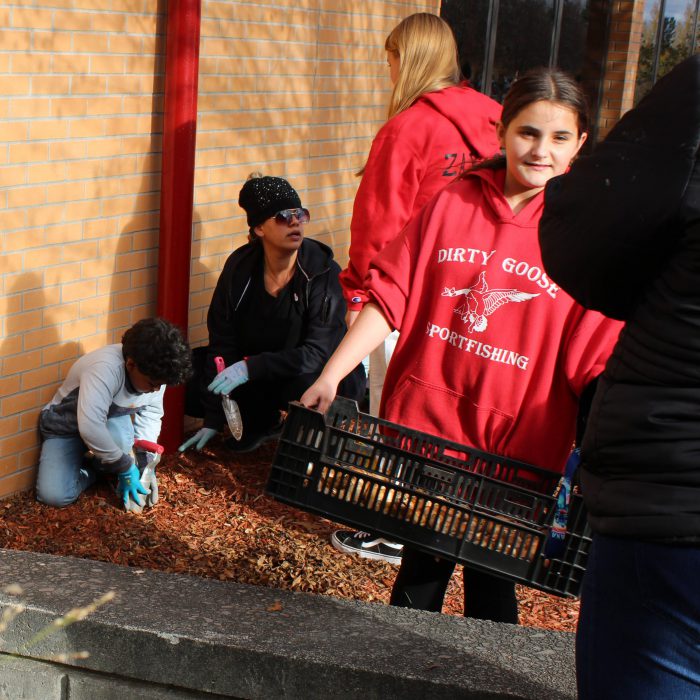 a student holds a tray of bulbs as other dig behind her