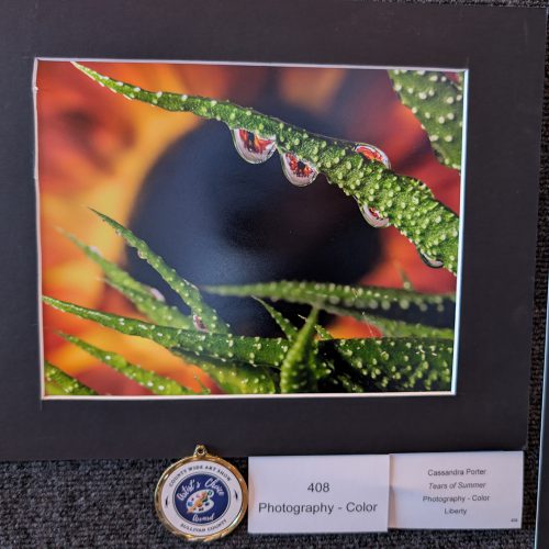 A color photo on a backing board